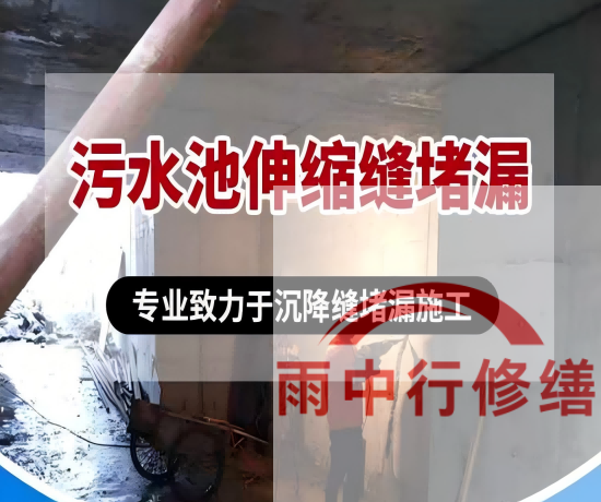 衡阳2026年高分子防水卷材成高端市场主流，光伏屋面需求爆发