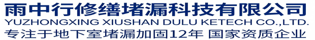 衡阳雨中行科技防水堵漏工程有限公司